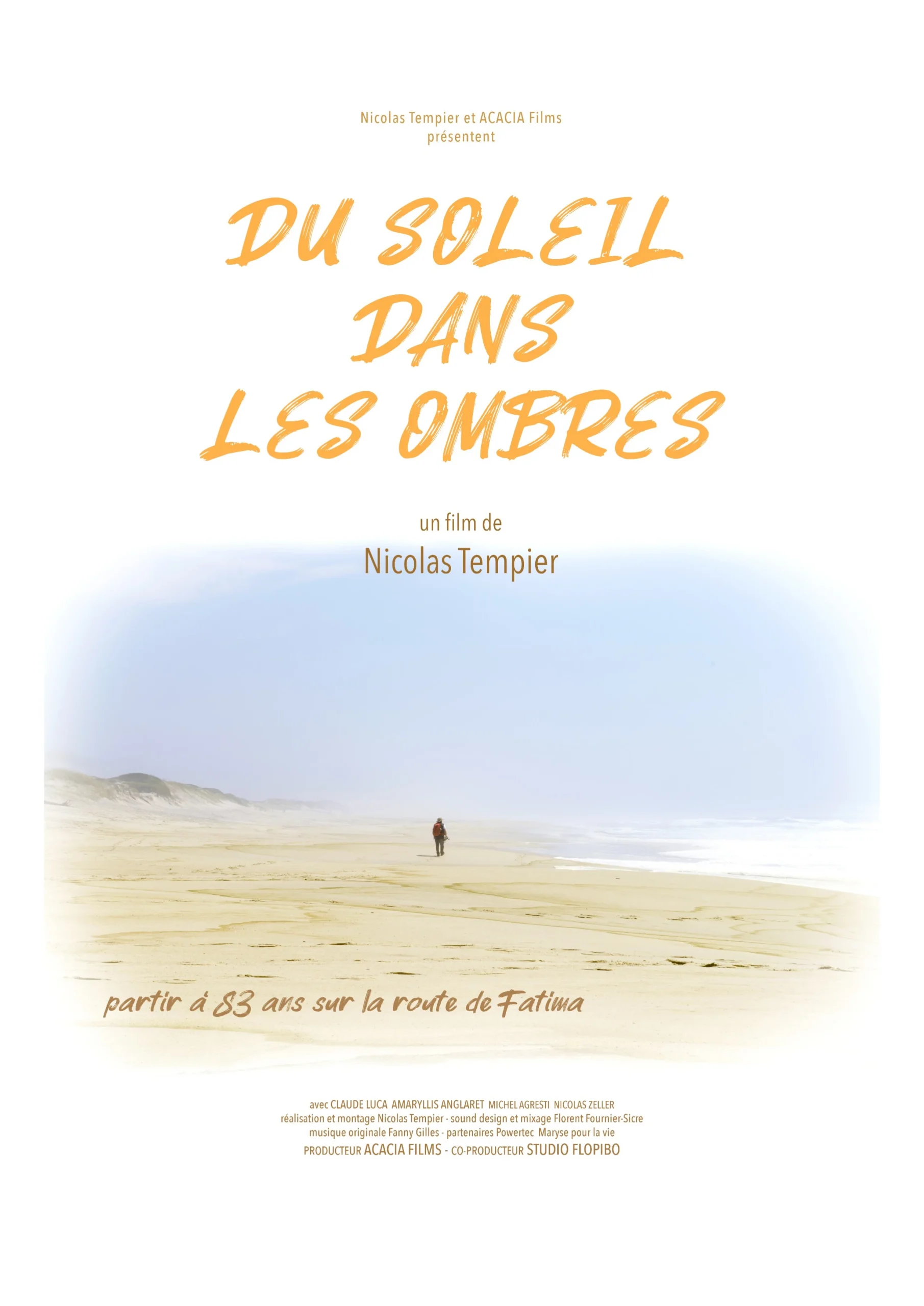 Jeudi 10 Septembre Projection du Film Du Soleil dans les Ombres affiche dsdlo full def 1